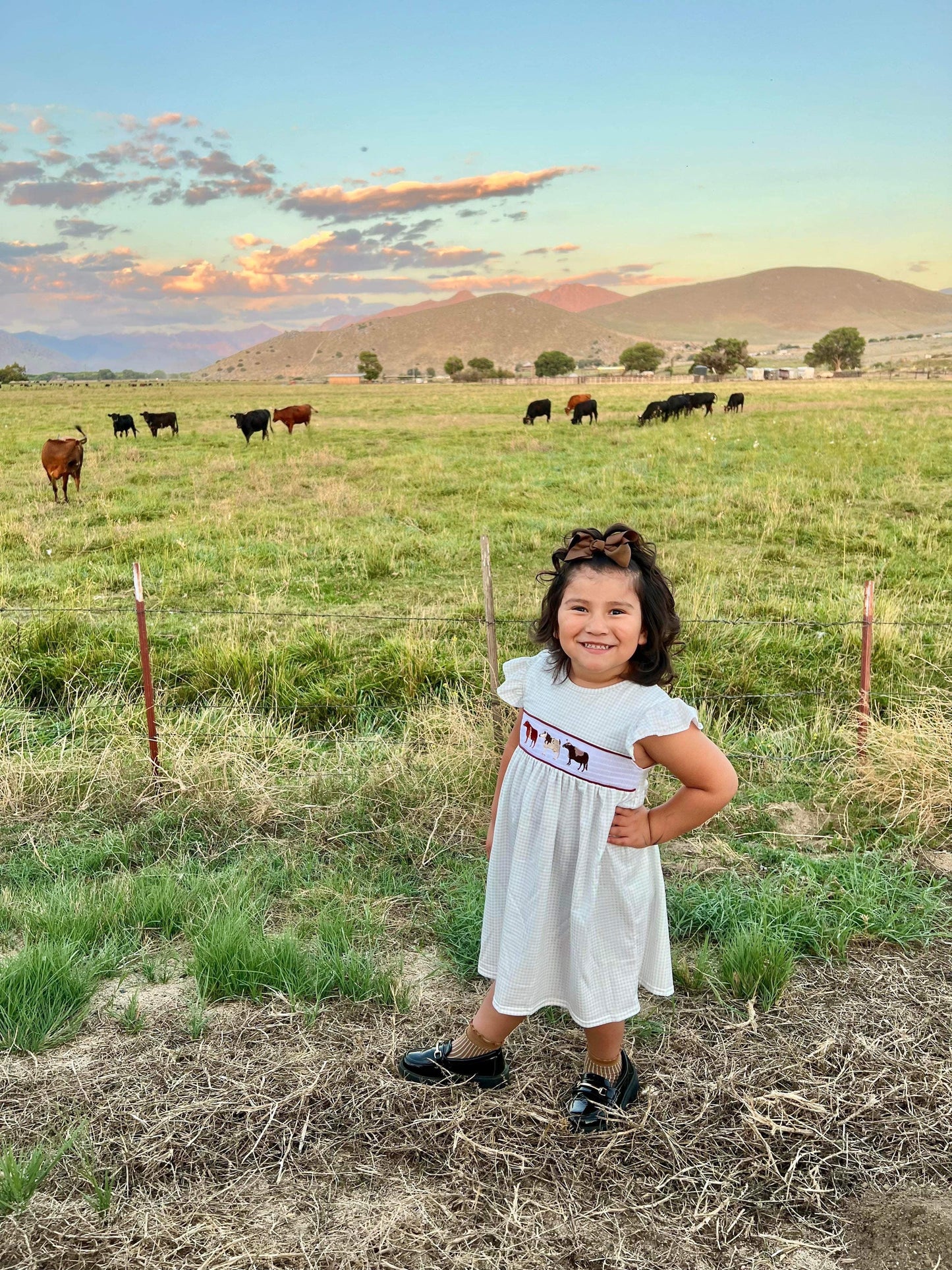 Honeydew - Cow smocked ruffle girl dress - Braxton Rayemyer