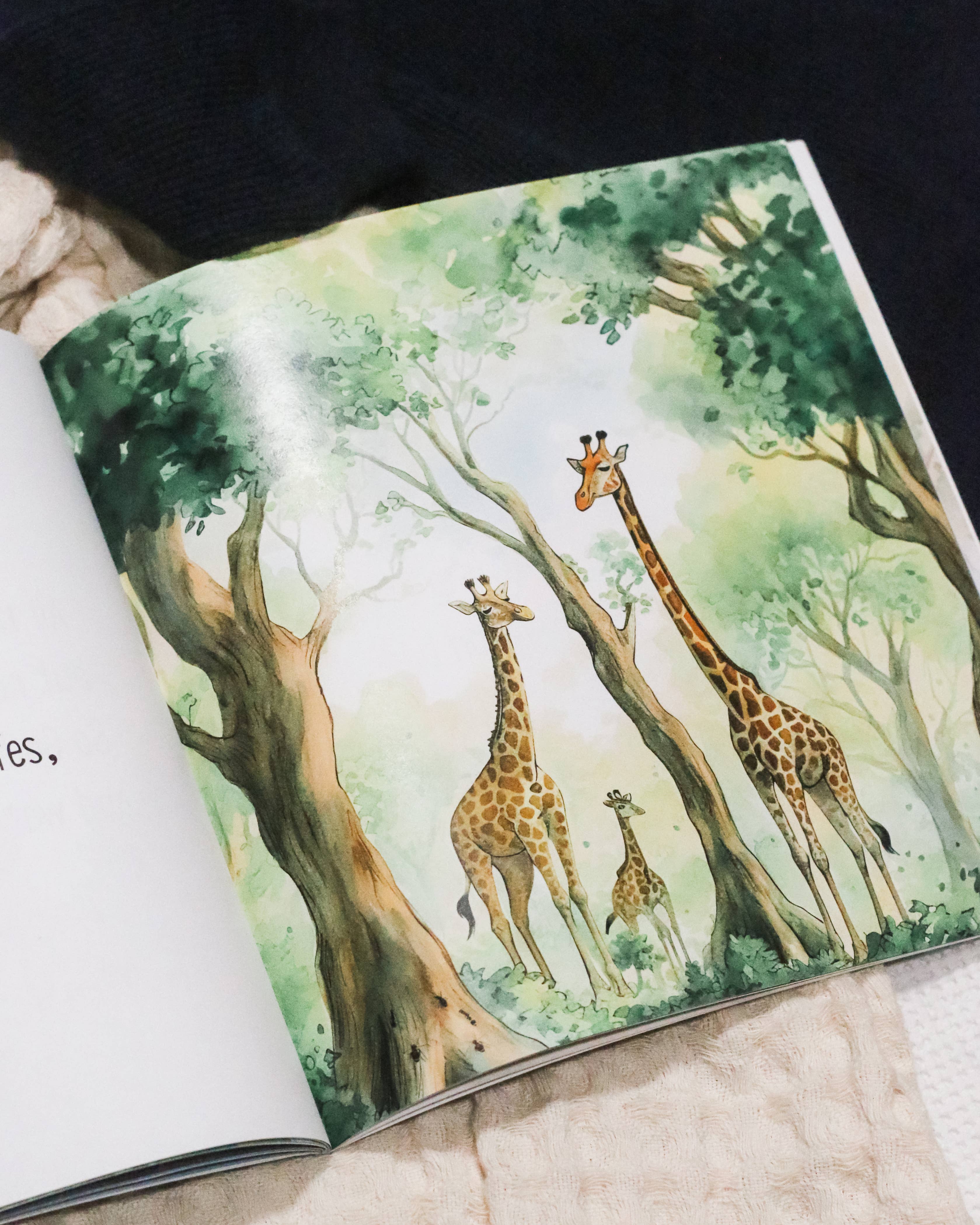 Male & Female Created He Them Children's Picture Book – Braxton